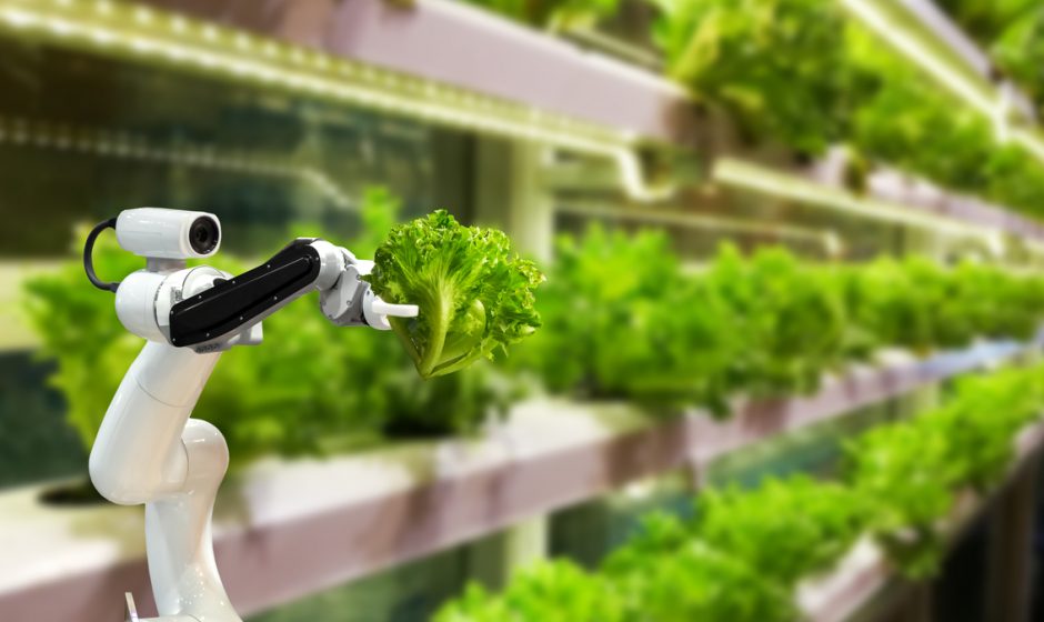 Technical Transformation in Agriculture