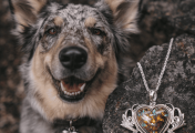 How Pet Memorial Jewelry Keeps Joy Alive