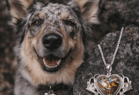 How Pet Memorial Jewelry Keeps Joy Alive